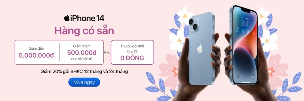 Sơn Tao – iCorner Số 9 Kênh Liêm