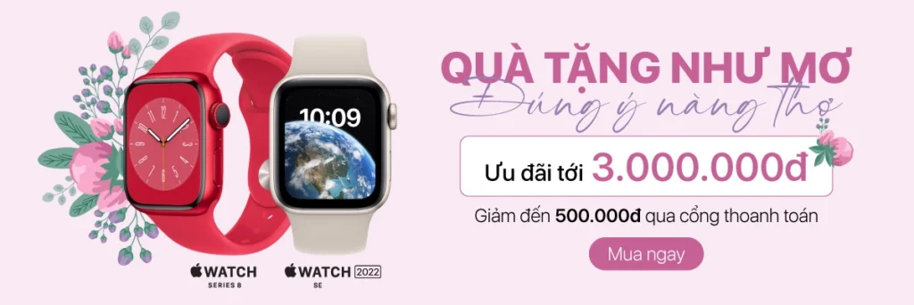 Sơn Tao – iCorner Số 9 Kênh Liêm